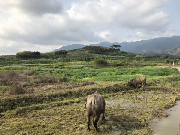 深圳解除合同律师来讲讲什么是显失公平以及显失公平的合同可否撤销