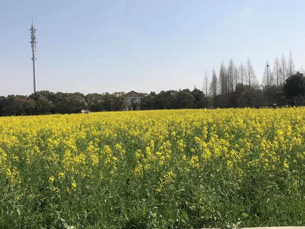 医疗纠纷频发：深圳律师事务所来讲讲如何有效维护患者合法权益